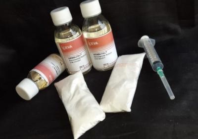 Koop Nembutal Oral-oplossing voor pijnloze zelfmoord . Bestek Nu !! ( WhatsApp : +31687397262 ) .