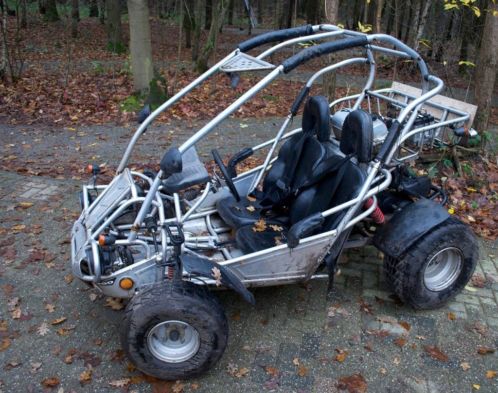 10 PGO 150 cc amp 250 cc buggy 