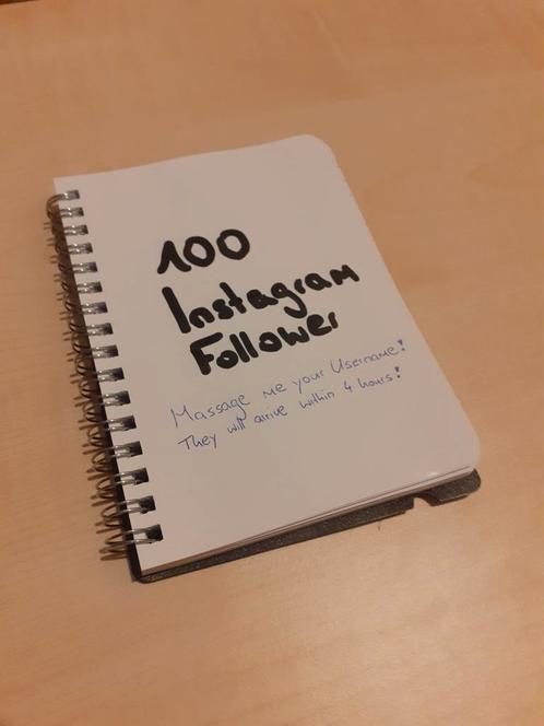 100 Instagram Follower