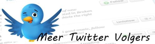 10.000 Twitter Volgers Binnen 48 Geleverd - Echte Accounts