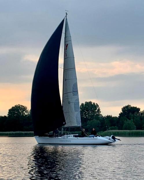 11 METRE ONE DESIGN (de ideale day sailer)