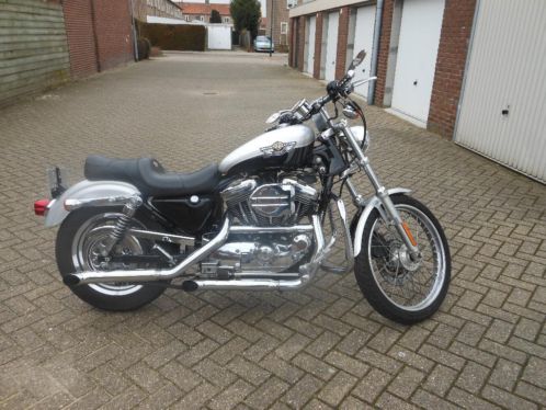 1200 sportster 2003 anniversary model 