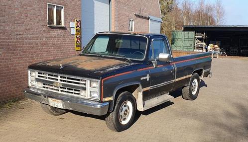 1981 Chevrolet Pick up 3100 Ford fF100 V8 automaat Apache
