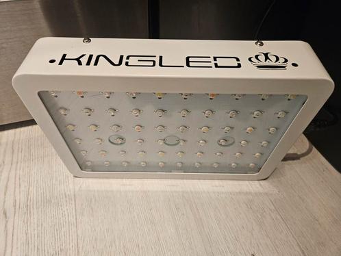 2 led grow light kweeklamp full spectrum 600w