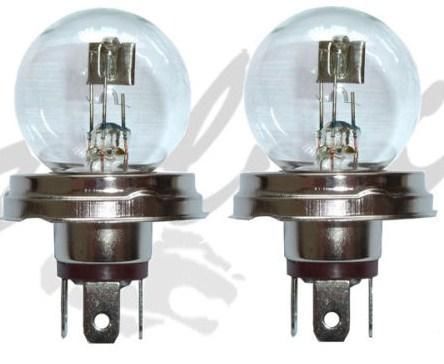 2 nieuwe duplo halogeen lampen 12V 4540W P45t 