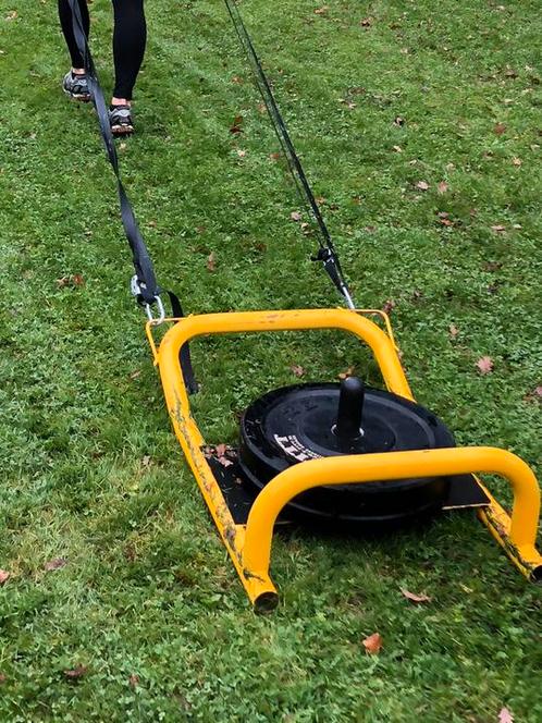 2 power sleds (slee) te koop