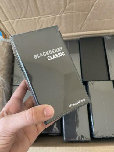 20 stuks blackberry classic