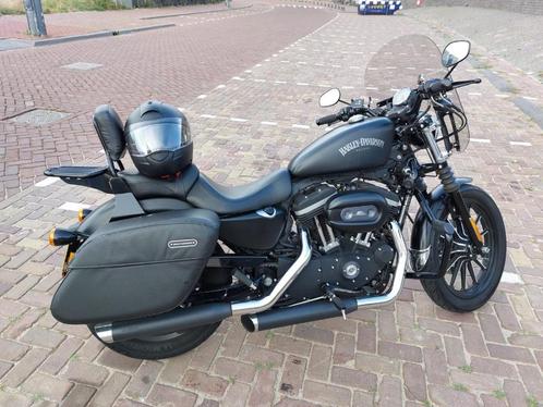 2013 Harley-Davidson Iron 883 - Den Haag