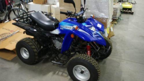 (221) Online veiling Adly Moto Interceptor quad