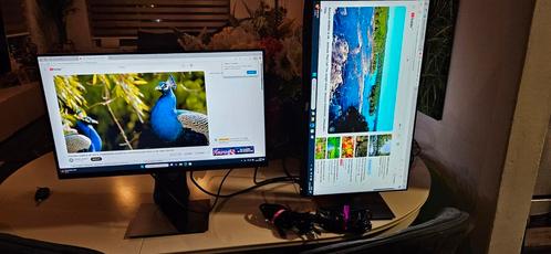 24 Inch Dell Monitor P2419HC