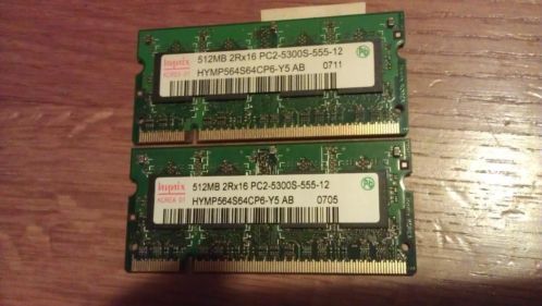 2x 512 MB PC5300 geheugen.