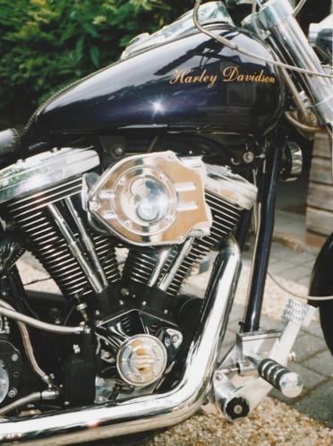 3 mooie Harley039s