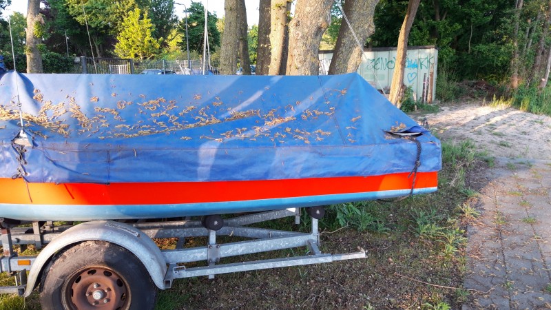 zwaard zeilboot