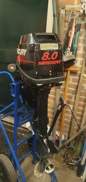 Mercury 8pk kortstaart