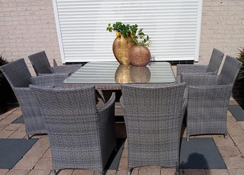 6 persoons wicker Tuinset diningset