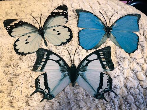 6 vlinders decoratie voor buiten aan de muur ijzer