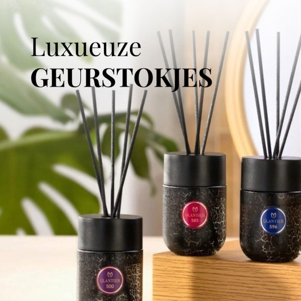  https://www.glantier.com/nl/registratie?ids=NL0062864