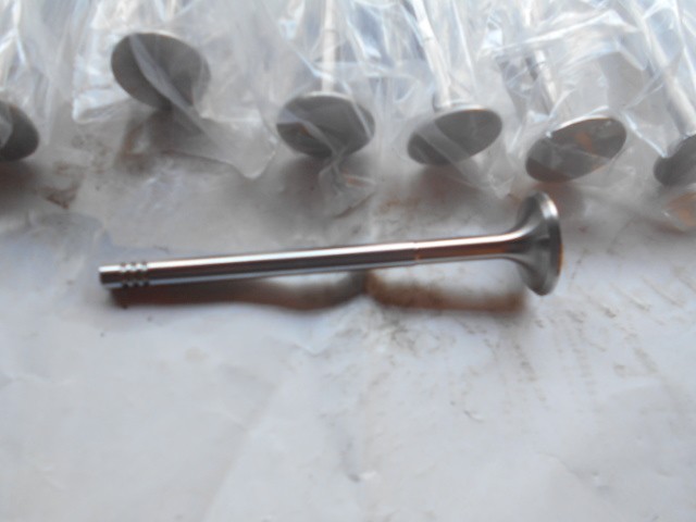 Exhaust valves for Maserati 3200 Gt and Qpt V8 