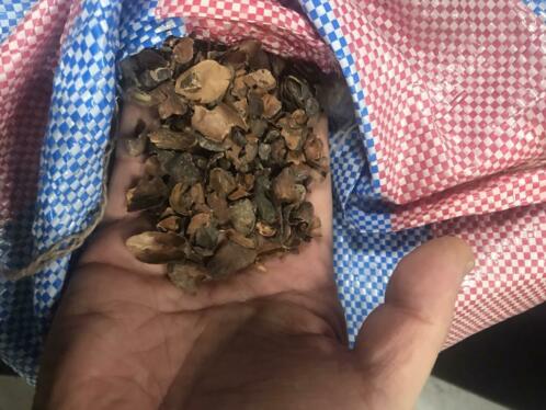 7500 kg Cacaodoppen 250 zakken van 200 liter spot prijs 