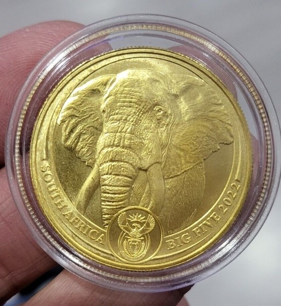 Koop 1oz Zuid-Afrikaanse gouden "Big Five Series" olifant munt.