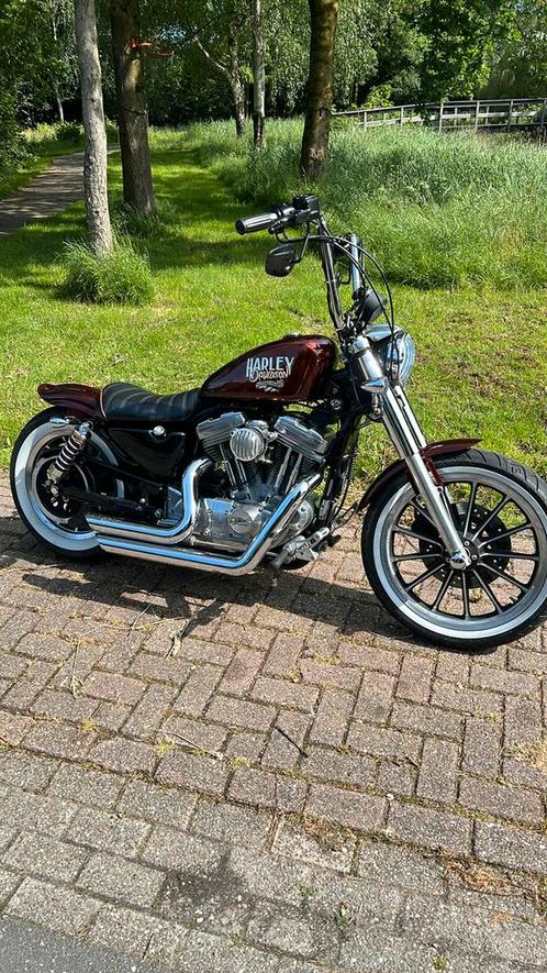 98 sportster 883 XL 43750