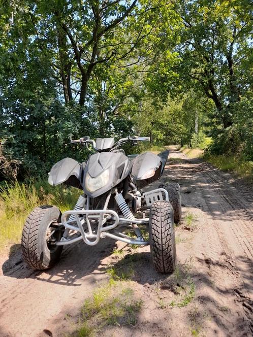 Access 250cc quad automaat op kenteken