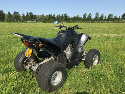 Access quad 250cc