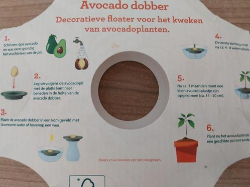 Advocado dobber voor eigen kweek Superleuk