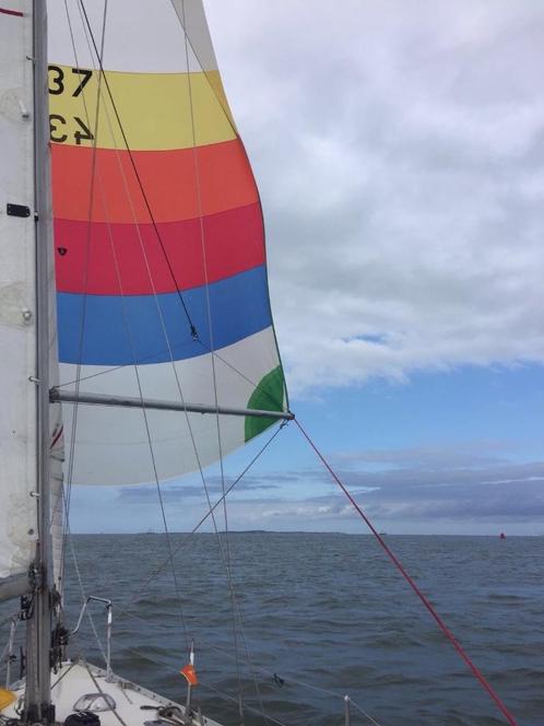 Albin Accent 26