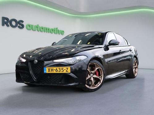 Alfa Romeo Giulia 2.9 V6 Quadrifoglio  CARBON-PACK  APPLE