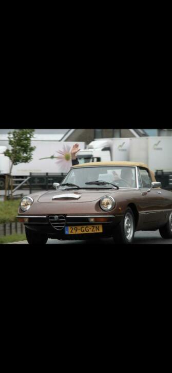 Alfa Romeo Spider 1.6 1981 Bruin