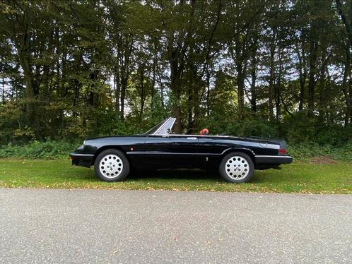 Alfa Romeo Spider 