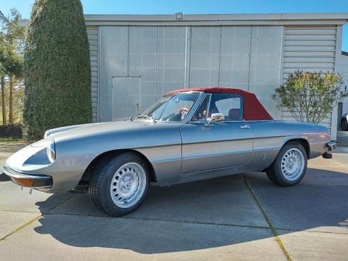 alfa spider 1977