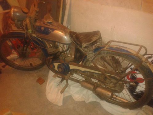 Amore Pony 1934 of ouder