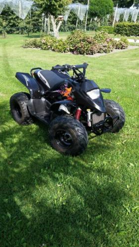 APEX Pro Shark 100cc QUAD te koop in prima staat bouwj. 2011