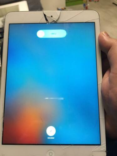 Apple IPad mini (16GB) display kapot