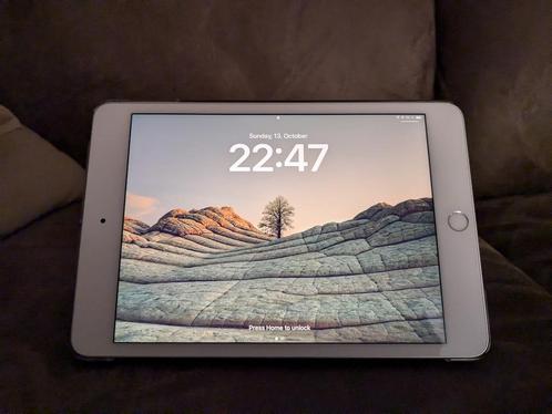 Apple iPad Mini (2019) 5th gen Wi-Fi 64GB Zilver  Case