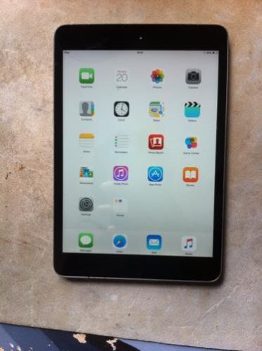 Apple iPad Mini - Space Grey met hoes en toebehoren