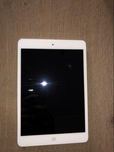 Apple iPad mini Zilver