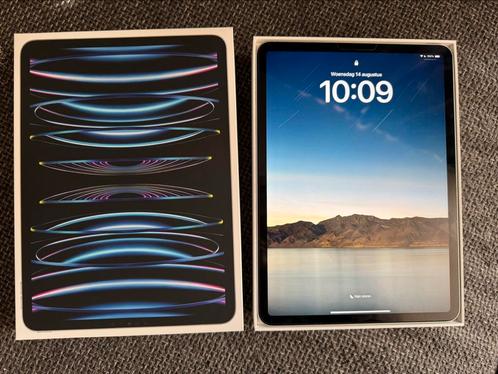 Apple iPad Pro 11 1TB Wi-Fi Silver  hoes amp garantie