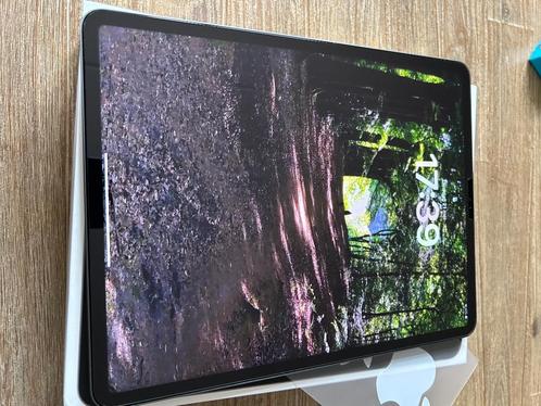 Apple iPad Pro (2021) 12,9 Wi-Fi, 8GB ram, 256GB opslag, Gri