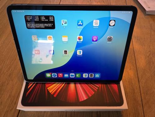 Apple iPad Pro M1 (3rd gen.) 11quot WiFi  Cell. 256 GB Grijs