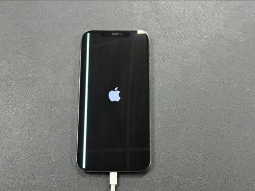 Apple iPhone 12 Pro Max 265GB Defect