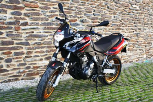 Aprilia Pegaso 650 Factory Akrapovic bj 2009 topstaat