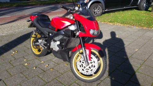 Aprilia RS 125 Tuono ( 11 Kw ombouw )