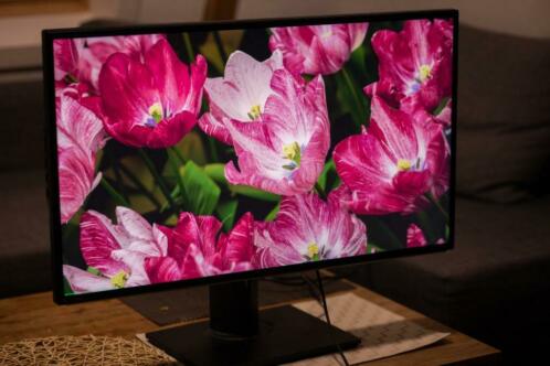 ASUS ProArt PA329Q Professional Photography Monitor - 32034 4K