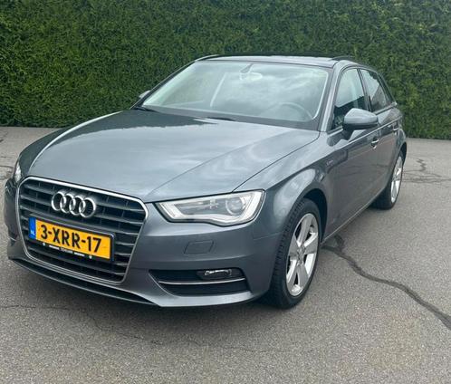 Audi A3 1.4TFSI G-tron 81KW SB S-tro 2014 met panoramadak