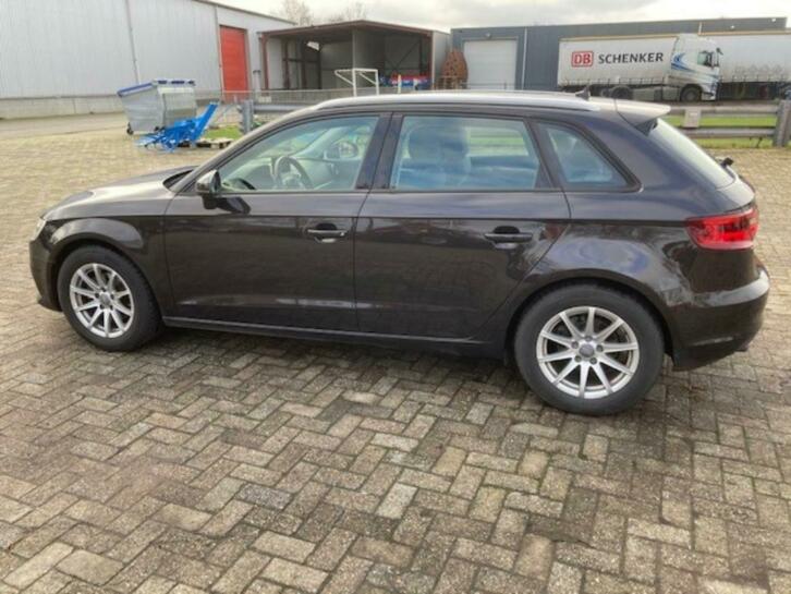 Audi A3 1.6 TDI 77KW Sportback 2014 Bruin