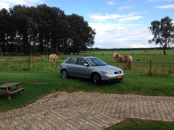 Audi A3 1.8 110KW 5D 2000 Blauw